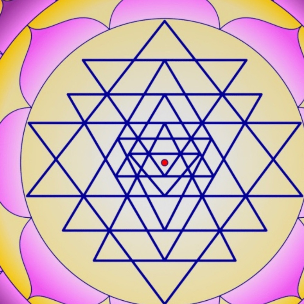 Meet your Posher, Erika